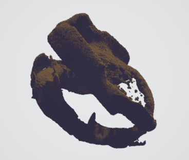 Raw 3D volume reconstructed from the segmented CT slices